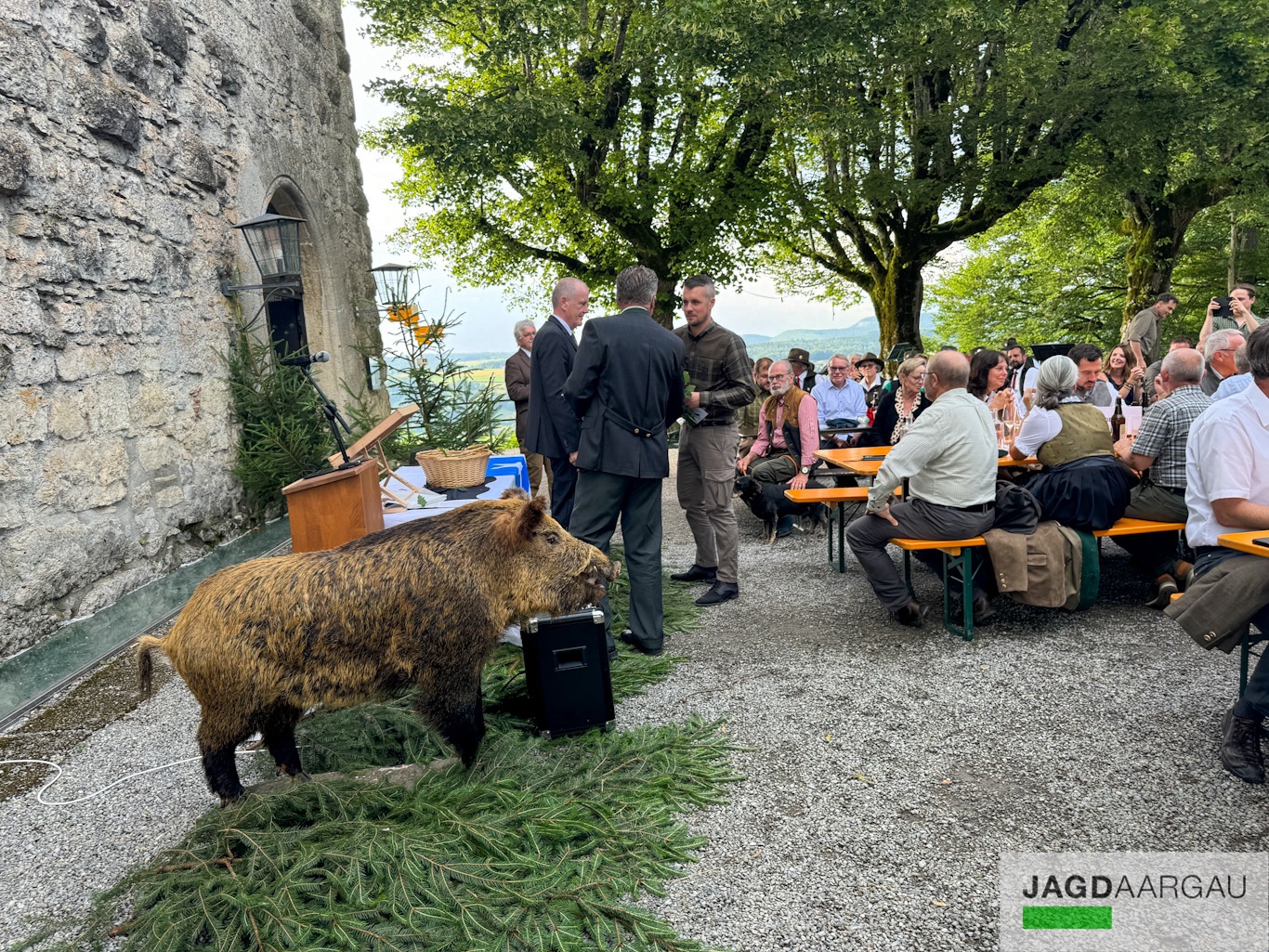 Aargauischer Jagdschutzverein AJV Jagdaargau Der Dachverband Der aargauischer-jagdschutzverein-ajv-jagdaargau-der-dachverband-der